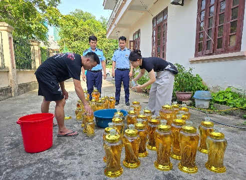 Cận cảnh 142 lít rượu sâm không rõ nguồn gốc vừa được tiêu hủy- Ảnh 2. Cận cảnh 142 lít rượu sâm không rõ nguồn gốc vừa được tiêu hủy- Ảnh 2.