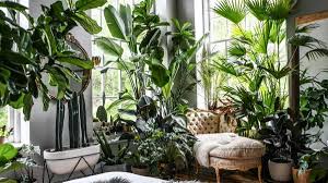 Những đồ vật trang trí phòng khách dễ gây ra sự bất an và tạo cảm giác áp lực cho người trong nhà- Ảnh 3.