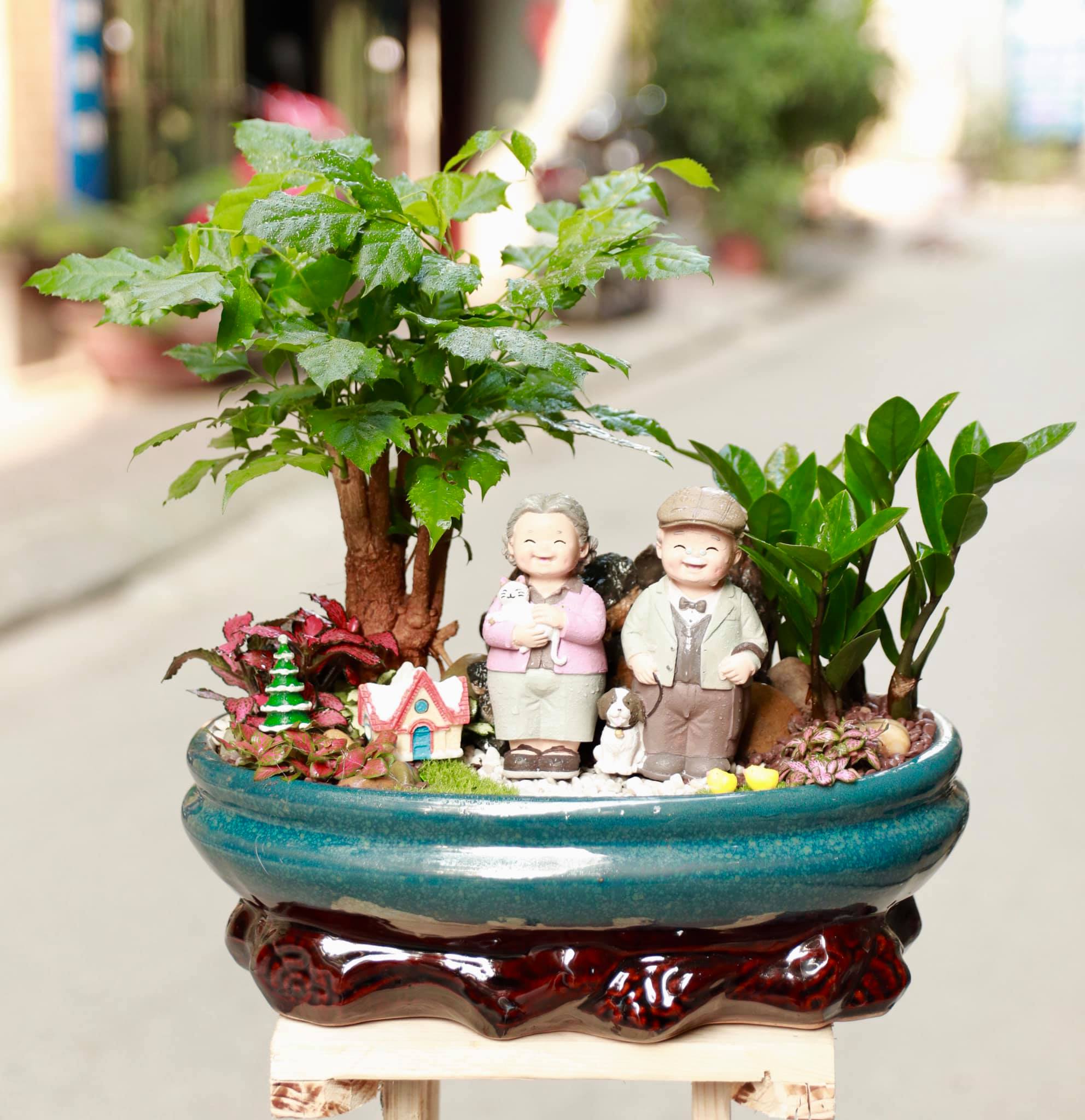 TIỂU CẢNH MINI TRONG CHẬU THỦY TINH NHỎ XINH CHO GÓC LÀM VIỆC THÊM MÁT MẺ