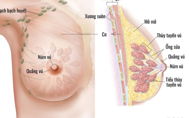 6 nhóm người có nguy cơ mắc ung thư vú cao, đây là 7 dấu hiệu cảnh báo bệnh, chị em cần cảnh giác