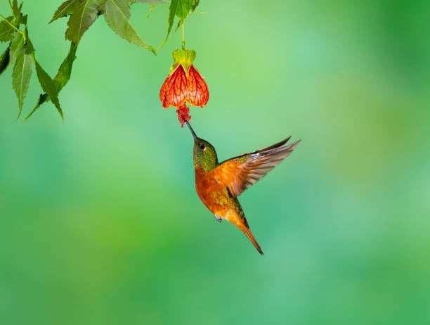 Số cuối ngày sinh Âm lịch tiết lộ khả năng kiếm tiền: Bạn thuộc nhóm giàu sang nào?- Ảnh 3.