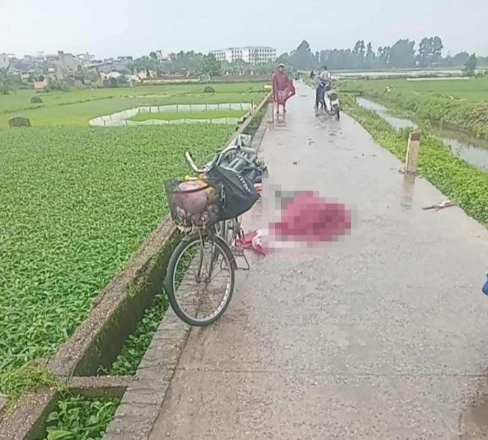 Người phụ nữ bị sét đánh tử vong khi đi qua cánh đồng ở Hà Nội - Ảnh 1.