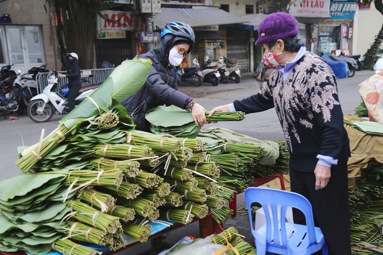 Lá tre bỗng dưng đắt khách, loài hoa dân dã trở thành 'ngôi sao' - Ảnh 2. Lá tre bỗng dưng đắt khách, loài hoa dân dã trở thành 'ngôi sao' - Ảnh 2.