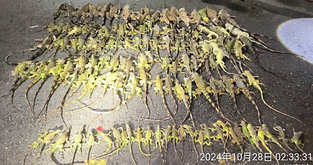 loai-2-17538502982621555976154-1753921588162-17539215882671049625543.jpg