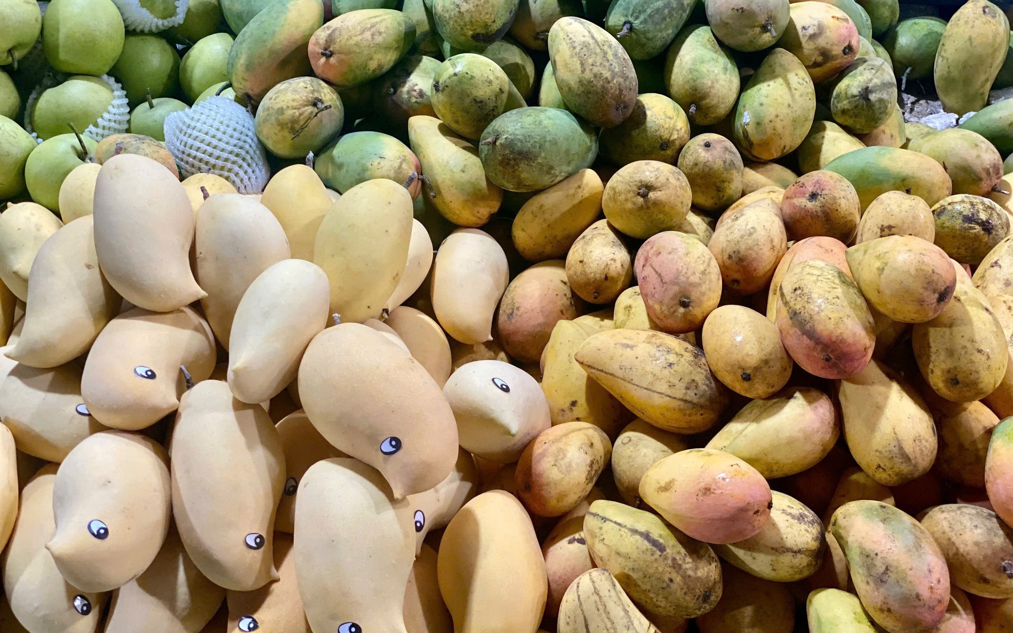 Tiểu thương tiết lộ về nguồn gốc của loại xo&agrave;i v&agrave;ng ươm, thơm nức đang b&aacute;n đầy chợ Việt