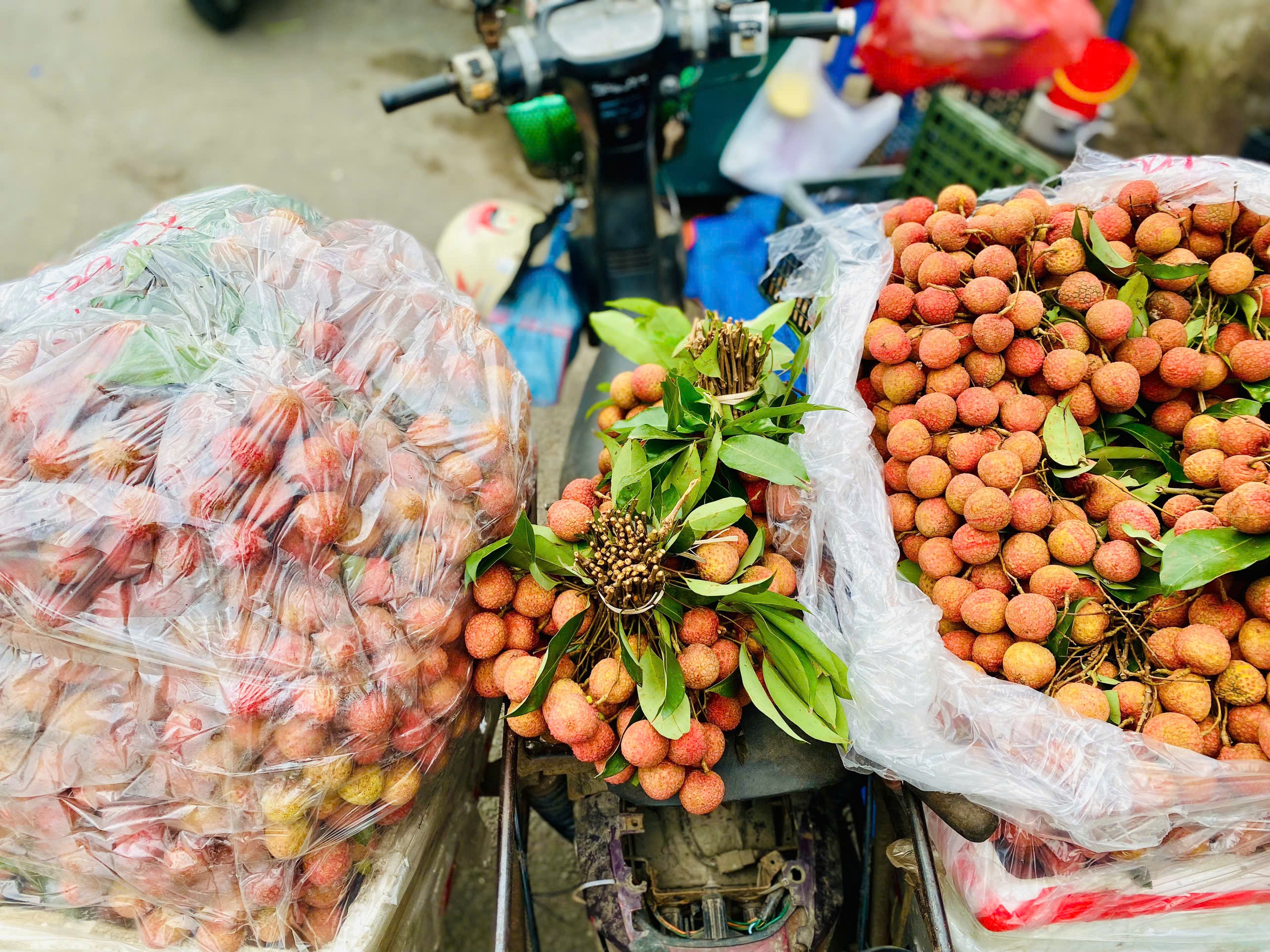 Vải thiều ‘đại hạ giá’ chỉ vài nghìn đồng/kg bán tràn ngập thị trường - Ảnh 4.