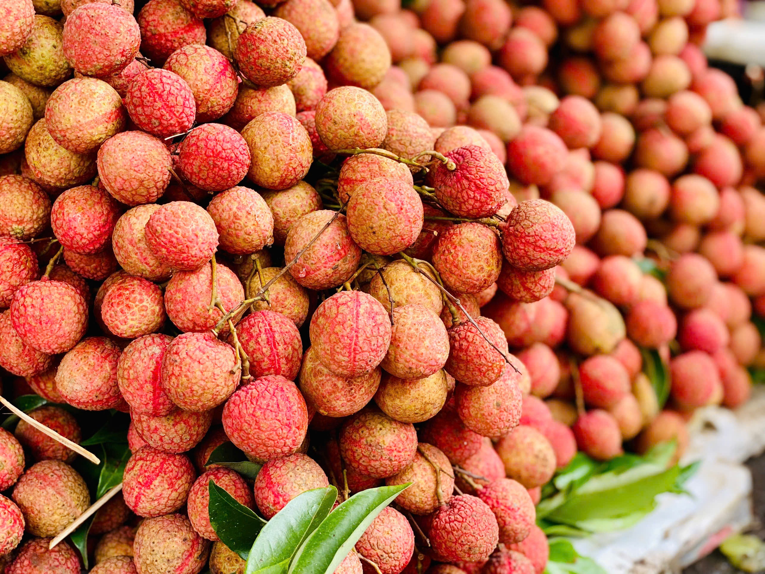 Vải thiều ‘đại hạ giá’ chỉ vài nghìn đồng/kg bán tràn ngập thị trường - Ảnh 6.