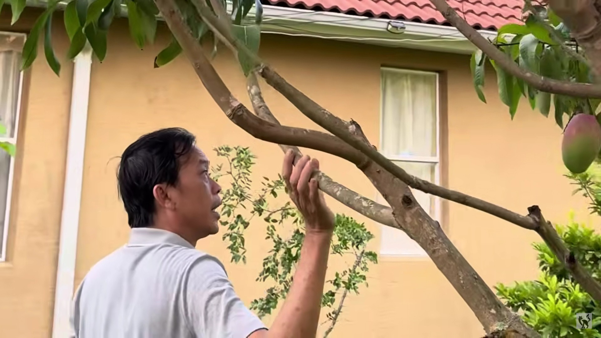 Sau thời gian dài vắng bóng, NS Hoài Linh xuất hiện trở lại, gây bất ngờ với cơ ngơi tại Mỹ- Ảnh 5. Sau thời gian dài vắng bóng, NS Hoài Linh xuất hiện trở lại, gây bất ngờ với cơ ngơi tại Mỹ- Ảnh 5.