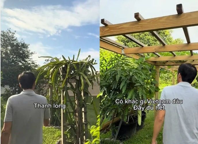 Sau thời gian dài vắng bóng, NS Hoài Linh xuất hiện trở lại, gây bất ngờ với cơ ngơi tại Mỹ- Ảnh 6. Sau thời gian dài vắng bóng, NS Hoài Linh xuất hiện trở lại, gây bất ngờ với cơ ngơi tại Mỹ- Ảnh 6.