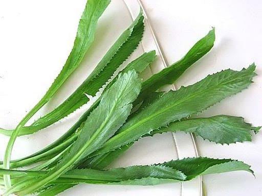 Thứ rau xanh trộn lẫn trong mớ rau sống nếu dùng đều đặn sẽ giúp hỗ trợ phòng chống ung thư- Ảnh 1. Thứ rau xanh trộn lẫn trong mớ rau sống nếu dùng đều đặn sẽ giúp hỗ trợ phòng chống ung thư- Ảnh 1.
