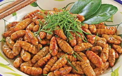 Top 7 món nhộng tằm dân nhậu dễ ghiền, người thành phố cũng mê, lại rất dễ làm tại nhà- Ảnh 2.