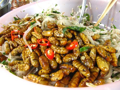 Top 7 món nhộng tằm dân nhậu dễ ghiền, người thành phố cũng mê, lại rất dễ làm tại nhà- Ảnh 5.