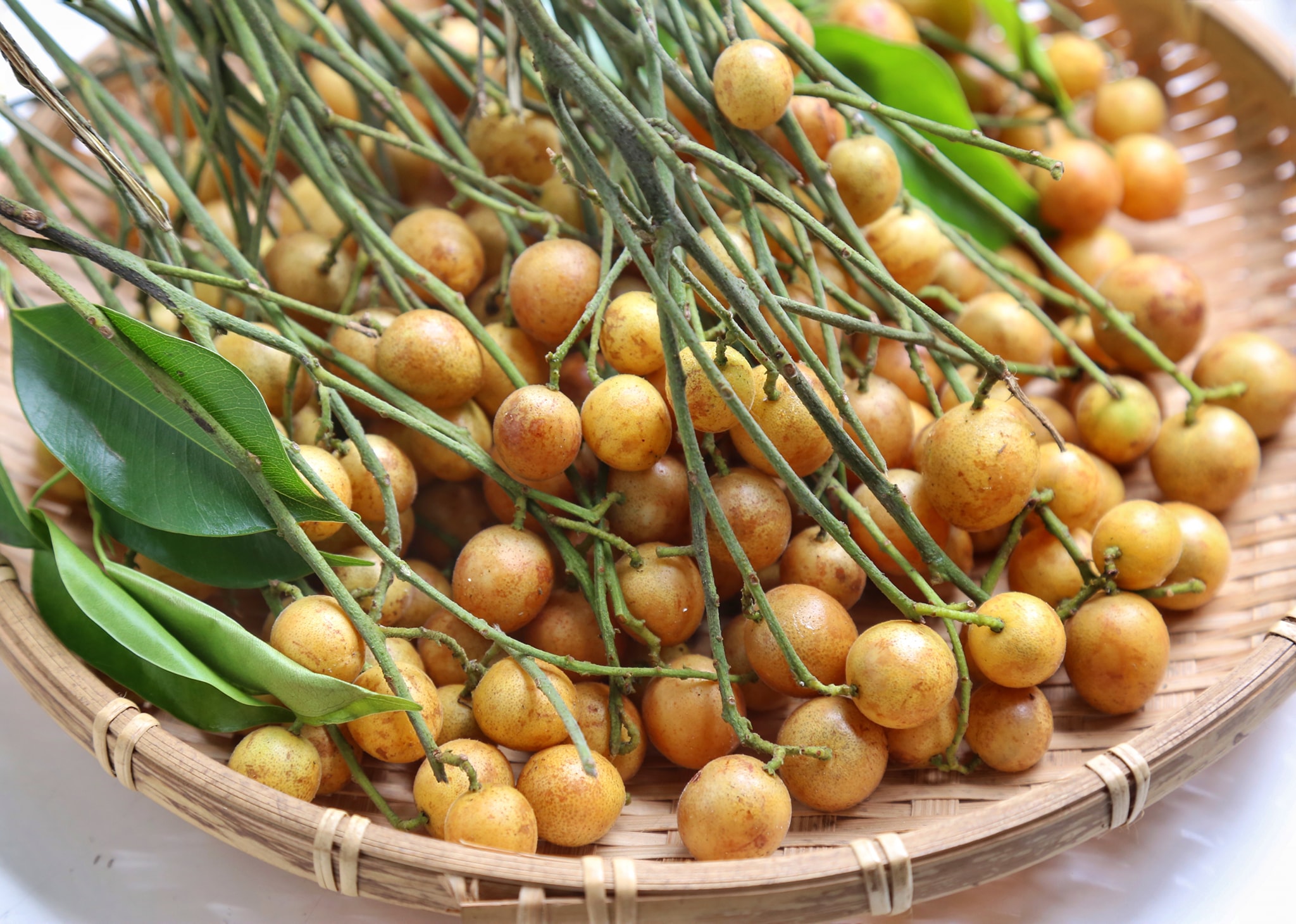 Loại quả được xem ‘vua trái cây ngày hè’, kết hợp với cá tạo thành món siêu ngon- Ảnh 3. Loại quả được xem ‘vua trái cây ngày hè’, kết hợp với cá tạo thành món siêu ngon- Ảnh 3.