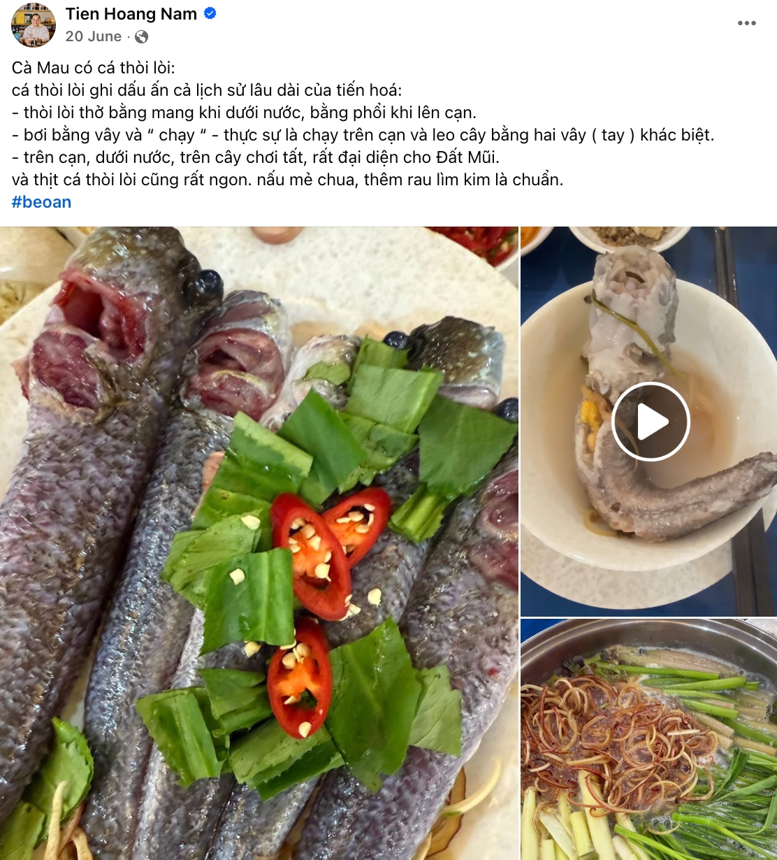 20250801075546-1060hoang-nam-tien-10-1754023364520-17540233646422138175796.jpg