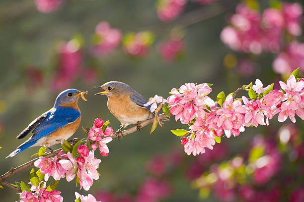 Tháng sinh Âm lịch của người đã thông minh lại còn chăm chỉ nên gặp nhiều cơ hội phát tài- Ảnh 3. Tháng sinh Âm lịch của người đã thông minh lại còn chăm chỉ nên gặp nhiều cơ hội phát tài- Ảnh 3.