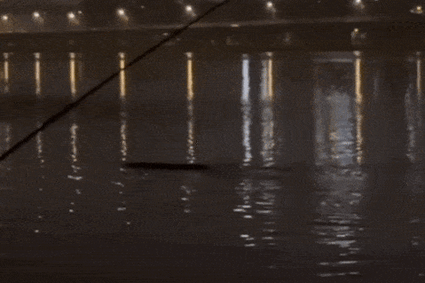 quaivatsonghan-1753944046951825159017-1754006853435-1754006853705164208401.gif