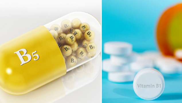 vitaminb1vab5cainaototchotochon-6754-17548082028511950098729.jpg