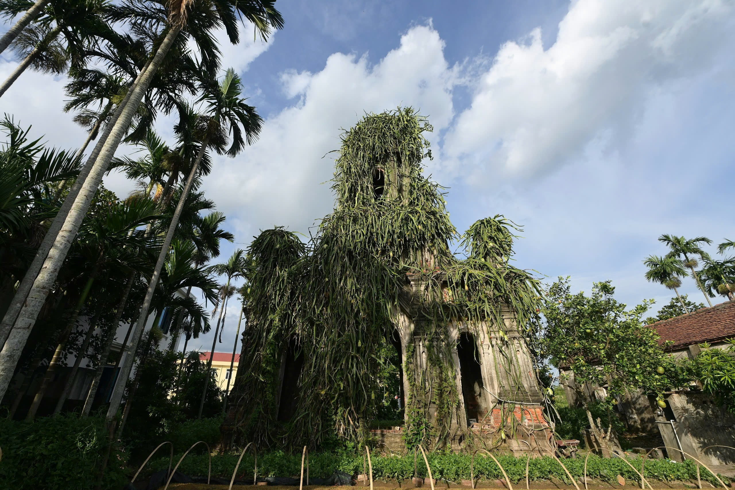 Cận cảnh nhà thờ bỏ hoang ở Ninh Bình nhìn xa như 'lâu đài' cổ tích- Ảnh 3. Cận cảnh nhà thờ bỏ hoang ở Ninh Bình nhìn xa như 'lâu đài' cổ tích- Ảnh 3.