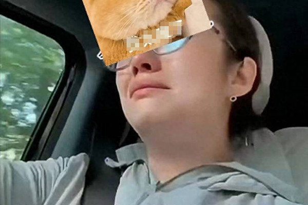 avatar1754876594835-1754876595204721184101.jpg