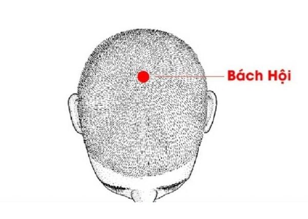 huyet-bach-hoi63679e221e4747b898e6cf5904692be2grande-1754818500038345843822-1754877382024-1754877382377264692622.jpg
