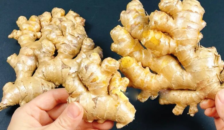 5 maneiras de fazer um suco de gengibre fresco delicioso e fácil, você definitivamente deve bebê-lo durante o  5 cách pha nước gừng tươi ngon và dễ, nhất định phải uống trong tháng 'cô hồn' vì lý do sau- Ảnh 2.