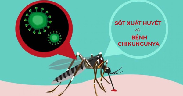 sot-xuat-huyet-va-benh-chikungunya-01-17546393465671111295726-18-0-1090-2048-crop-17546393858071189090903-1754976031404-175497603325897431740.jpg