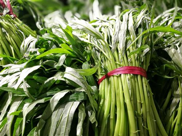 3 loại rau "ngậm thuốc trừ sâu" nhiều nhất chợ, người bán cũng không dám ăn- Ảnh 2. 3 loại rau "ngậm thuốc trừ sâu" nhiều nhất chợ, người bán cũng không dám ăn- Ảnh 2.