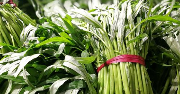 3 loại rau 'ngậm thuốc trừ s&acirc;u' nhiều nhất chợ, người b&aacute;n cũng kh&ocirc;ng d&aacute;m ăn