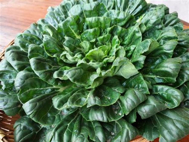 3 loại rau "ngậm thuốc trừ sâu" nhiều nhất chợ, người bán cũng không dám ăn- Ảnh 1. 3 loại rau "ngậm thuốc trừ sâu" nhiều nhất chợ, người bán cũng không dám ăn- Ảnh 1.