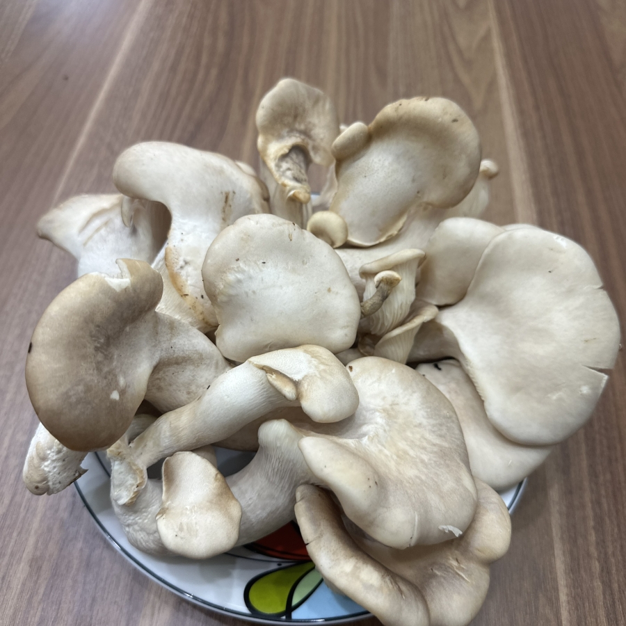 ចាត់ទុកថាជាអាហារសមុទ្រនៃដីនេះជាអាហារទំនើបដែលមានលក់ខ្លាំងនៅទីផ្សារប្រទេសវៀតណាម ជួយគ្រប់គ្រងជាតិស្ករក្នុងឈាមបានល្អ និងធ្វើមុខម្ហូបឆ្ងាញ់ៗជាច្រើនមុខ - រូបថត ២. Được ví như ‘hải sản của đất’, đây là siêu thực phẩm cực sẵn ở chợ Việt giúp kiểm soát đường huyết tốt, chế biến được nhiều món ngon- Ảnh 2.