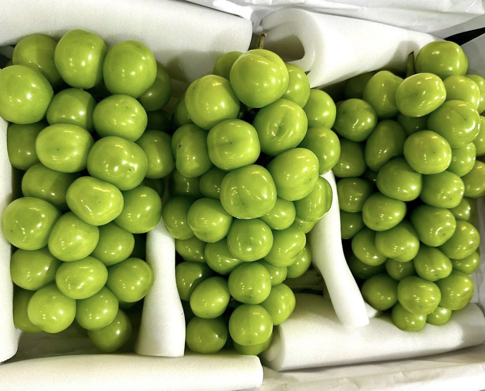 Nho sữa Trung Quốc loại bình dân chỉ còn 15.000 đồng/kg, ngang với mớ rau - Ảnh 1.