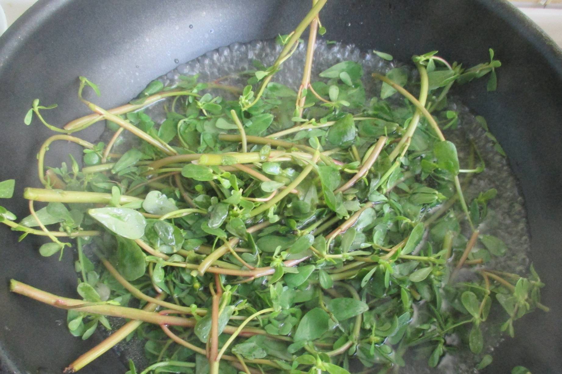 Loại rau ít ngậm thuốc trừ sâu nhất chợ, hỗ trợ thải độc, tốt cho sức khỏe người bị tiểu đường- Ảnh 15. Loại rau ít ngậm thuốc trừ sâu nhất chợ, hỗ trợ thải độc, tốt cho sức khỏe người bị tiểu đường- Ảnh 15.
