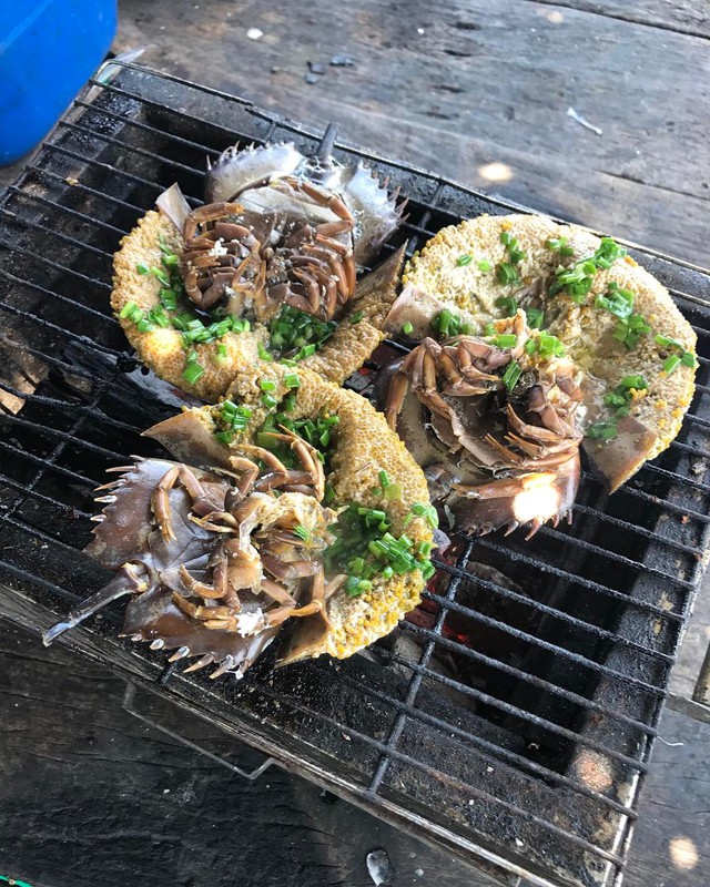 sam-bien-nuong-1754984794648-1754984794825885986511-1755050703335-1755050703491378554490.jpg
