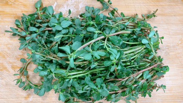 Loại rau ít ngậm thuốc trừ sâu nhất chợ, hỗ trợ thải độc, tốt cho sức khỏe người bị tiểu đường- Ảnh 4. Loại rau ít ngậm thuốc trừ sâu nhất chợ, hỗ trợ thải độc, tốt cho sức khỏe người bị tiểu đường- Ảnh 4.
