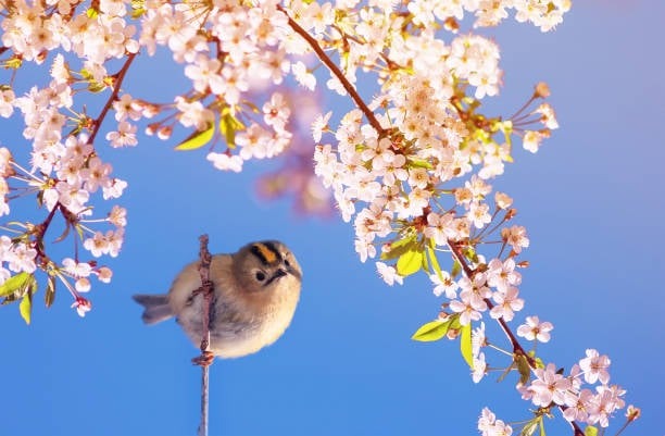 Ngày sinh Âm lịch của người 'nói là làm', càng khó khăn càng dễ bứt phá để vươn tới đỉnh cao- Ảnh 1.