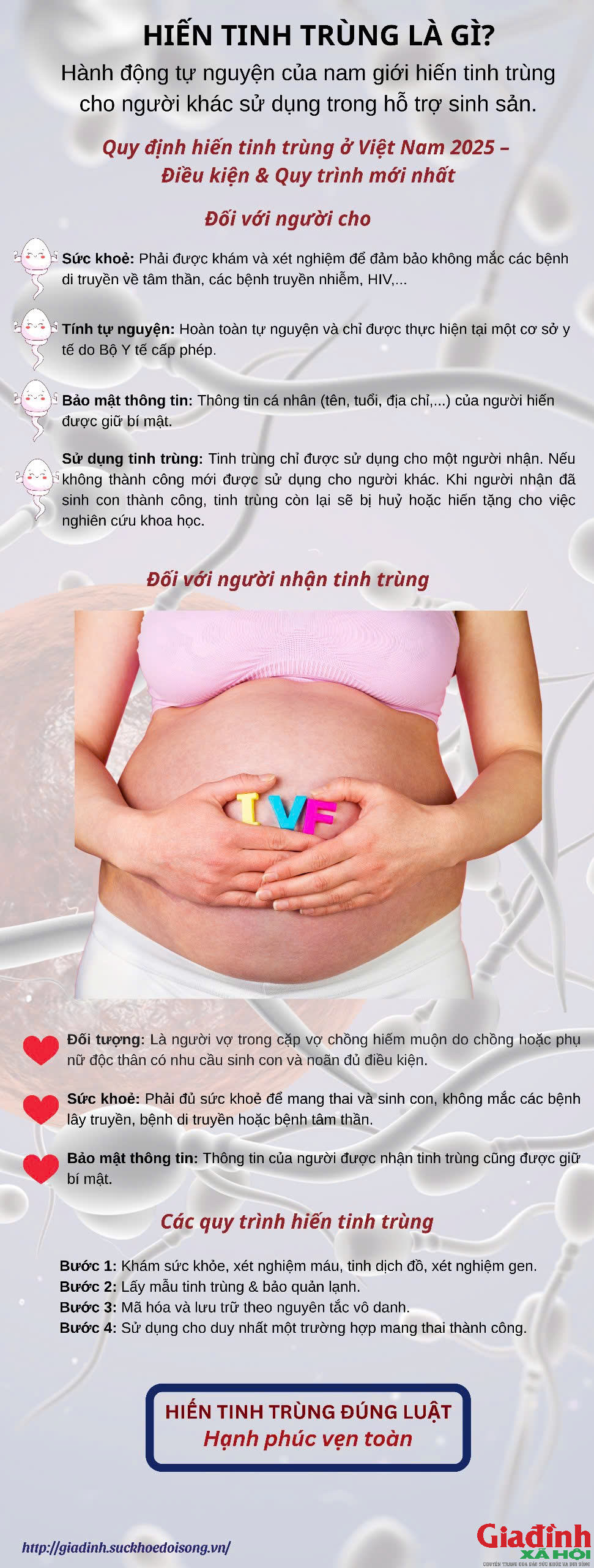 Hiến tinh trùng ở Việt Nam: Quy định mới nhất, ai được phép và thủ tục ra sao? - Ảnh 1.