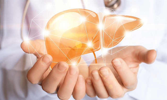 4 đặc điểm của đàn ông có lá gan khỏe mạnh: Nếu thiếu một trong số này, bạn nên cẩn thận! - Ảnh 1.