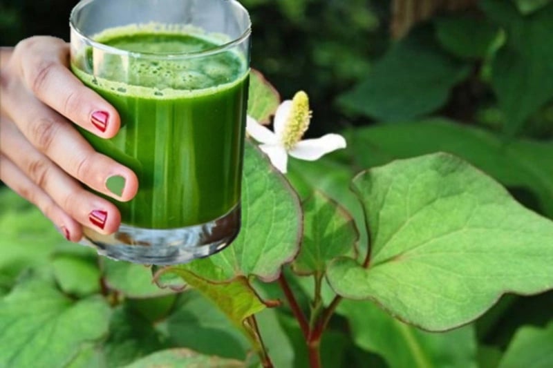 Kinh nghiệm thải độc gan: Loại lá rẻ tiền bán đầy chợ, làm mát gan, kiểm soát đường huyết cực tốt, chỉ 5k đủ cho cả nhà dùng - Ảnh 1. Kinh nghiệm thải độc gan: Loại lá rẻ tiền bán đầy chợ, làm mát gan, kiểm soát đường huyết cực tốt, chỉ 5k đủ cho cả nhà dùng - Ảnh 1.