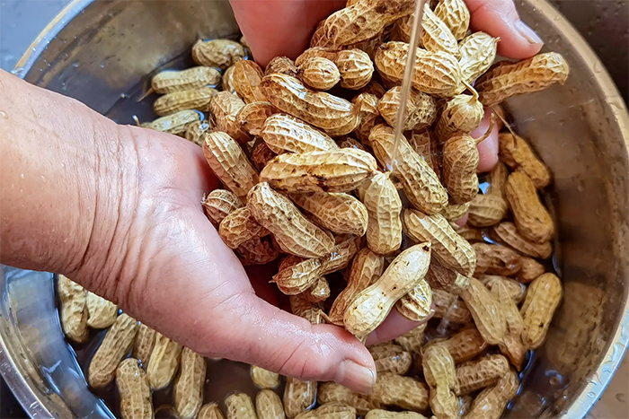 Luộc lạc chỉ cho muối chưa đủ, làm cách này lạc sẽ ngọt mềm, không thâm đen - Ảnh 2.