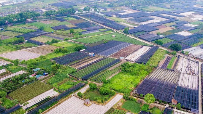 Nhiều quy định mới về đất đai có hiệu lực từ ngày 15-8 - Ảnh 1. Nhiều quy định mới về đất đai có hiệu lực từ ngày 15-8 - Ảnh 1.