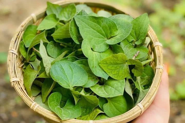 Bất ngờ loại rau được mệnh danh là 'vua thải độc gan', bán đầy ở chợ Việt, giá rẻ như cho- Ảnh 1.