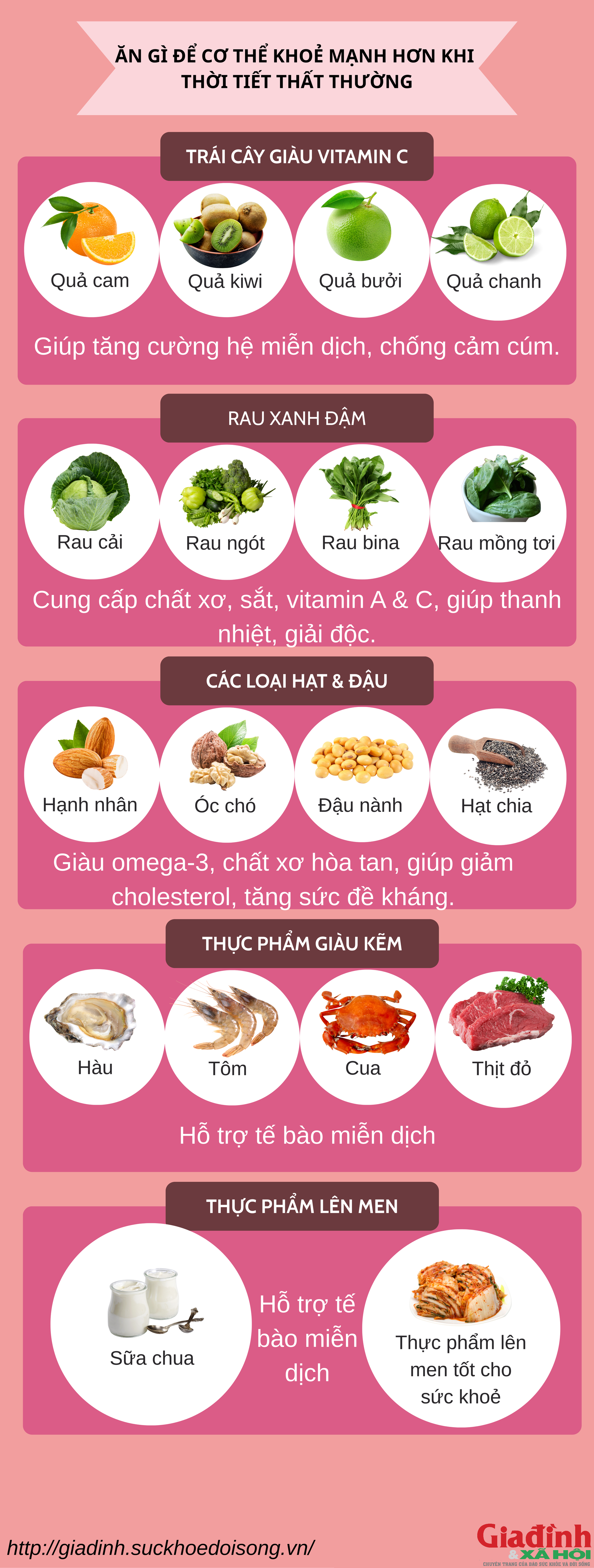 Bổ sung gì để khỏe khi giao mùa? Những thực phẩm 'vàng' giúp tăng sức đề kháng cực nhanh - Ảnh 1.