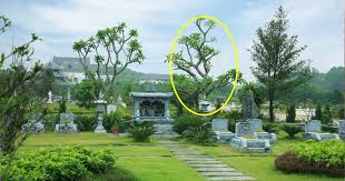 Những nơi nhiều năng lượng xấu trong tháng 'cô hồn' bạn cần biết để tránh càng xa càng tốt- Ảnh 2. Những nơi nhiều năng lượng xấu trong tháng 'cô hồn' bạn cần biết để tránh càng xa càng tốt- Ảnh 2.