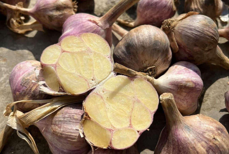 Loại gia vị ở góc bếp hỗ trợ hạ huyết áp, giảm mỡ máu - Ảnh 1. Loại gia vị ở góc bếp hỗ trợ hạ huyết áp, giảm mỡ máu - Ảnh 1.