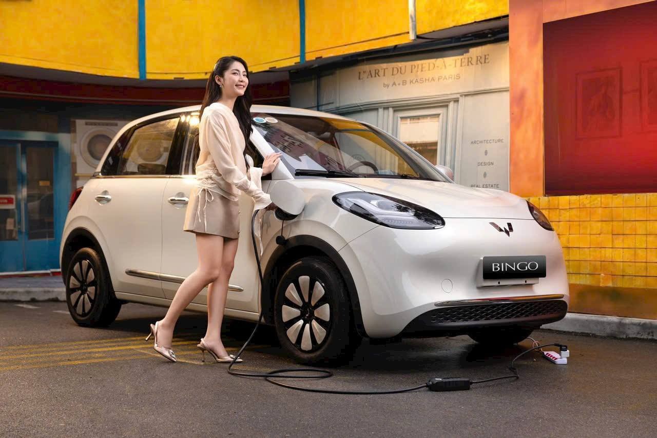 Xe ô tô điện giá chỉ từ 193 triệu đồng ở Việt Nam trang bị hiện đại, pin bền, thích hợp đi trong đô thị- Ảnh 3. Xe ô tô điện giá chỉ từ 193 triệu đồng ở Việt Nam trang bị hiện đại, pin bền, thích hợp đi trong đô thị- Ảnh 3.