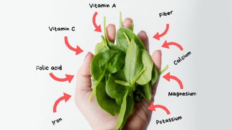 Loại rau ở chợ Việt nhiều sắt hơn thịt bò, chuyên gia Mỹ đánh giá bổ bậc nhất: Giúp kiểm soát đường huyết và thải độc gan hiệu quả- Ảnh 1. Loại rau ở chợ Việt nhiều sắt hơn thịt bò, chuyên gia Mỹ đánh giá bổ bậc nhất: Giúp kiểm soát đường huyết và thải độc gan hiệu quả- Ảnh 1.