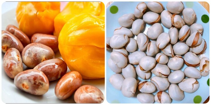 Ăn hạt mít kiểu này cực tốt cho sức khỏe, không phải ai cũng biết - Ảnh 2. Ăn hạt mít kiểu này cực tốt cho sức khỏe, không phải ai cũng biết - Ảnh 2.