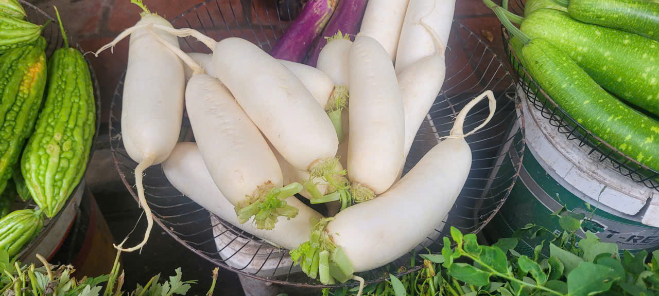 اس جڑ کو 'خزاں کے ginseng' سے تشبیہ دی جاتی ہے اور یہ موسم میں، سستی، جگر کو detoxify کرنے اور خون میں شوگر کو کنٹرول کرنے میں مدد کرتی ہے - تصویر 3۔ Loại củ ví như ‘nhân sâm mùa thu’ vào chính vụ, giá rẻ bèo, giúp thải độc gan, kiểm soát đường huyết- Ảnh 3.