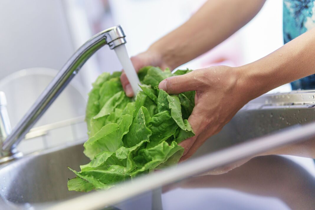 how-to-keep-lettuce-fresh-longer-6343495-1755591243924769776330-1755591289890-1755591289964281696452-1755853292574-17558532934392116900351.jpg