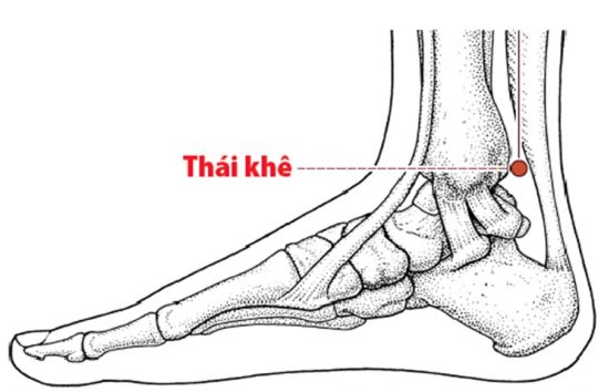 huyet-thai-khe-2-540x354-1755743698420157468564-1755828414333-175582841475688457224.jpg